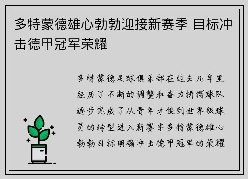 多特蒙德雄心勃勃迎接新赛季 目标冲击德甲冠军荣耀